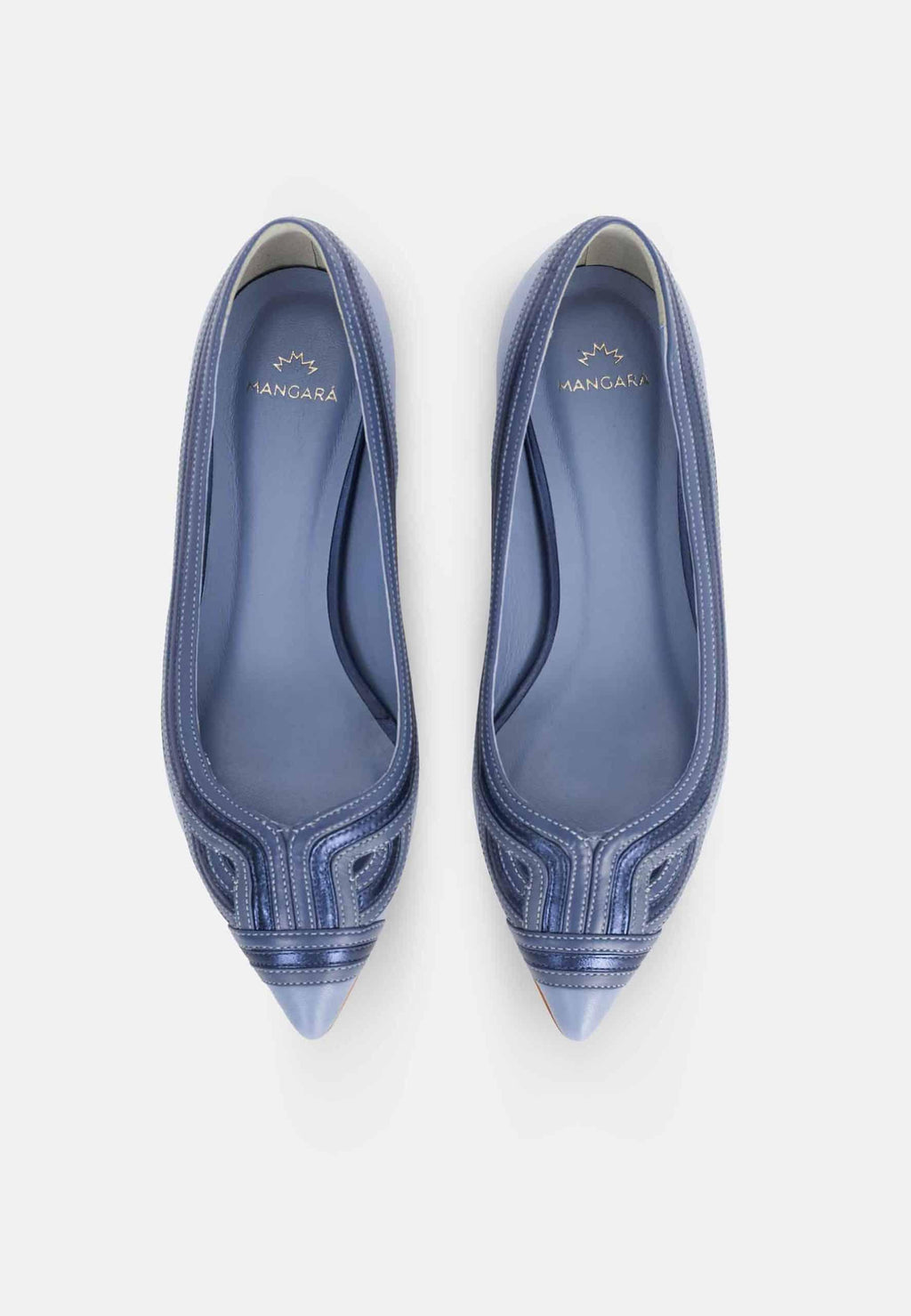 Begonia Blue Leather Ballerinas – Pointed Toe Flats