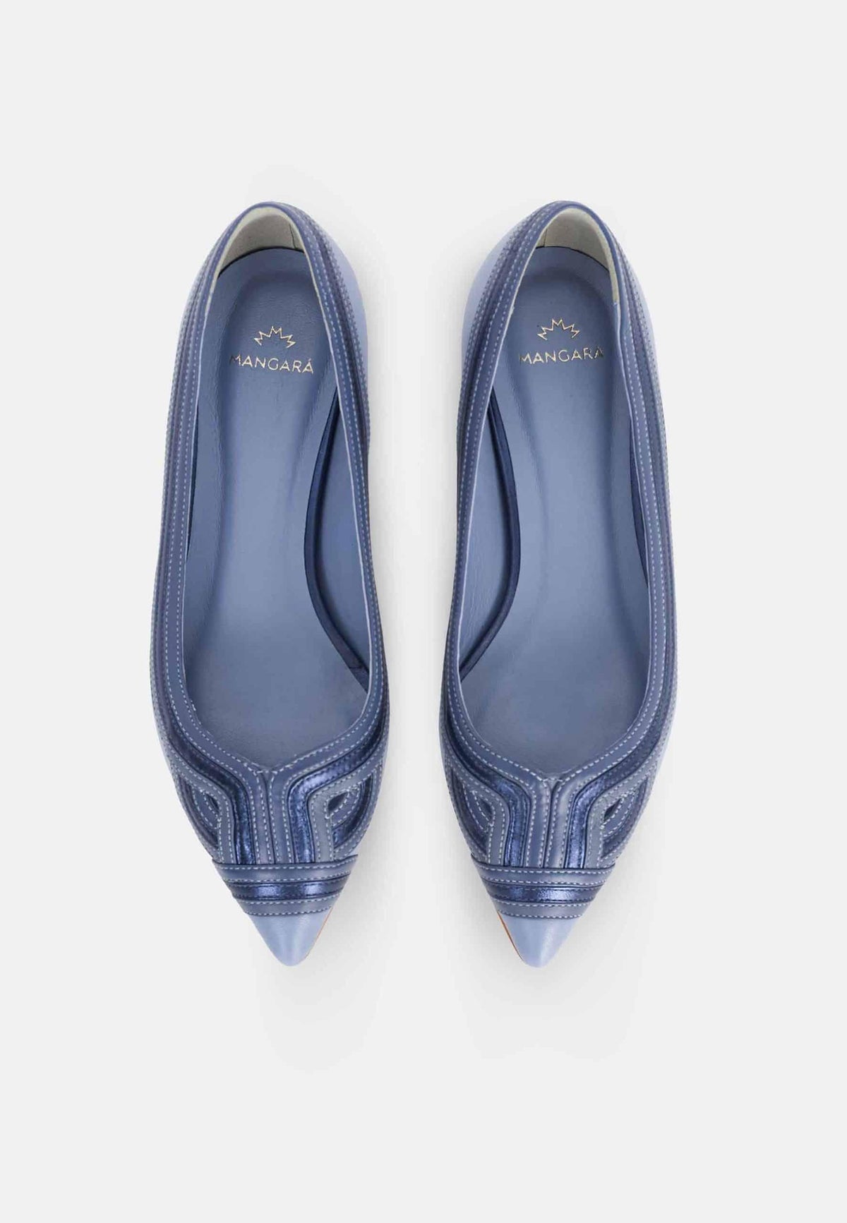 Begonia Blue Leather Ballerinas – Pointed Toe Flats